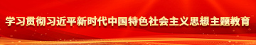 操逼好爽88av学习贯彻习近平新时代中国特色社会主义思想主题教育